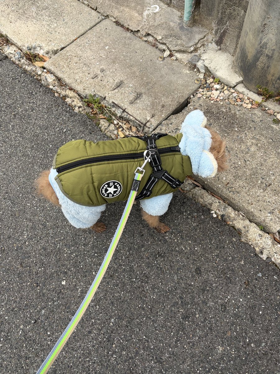 暖かそうやん…🥶🥶🥶