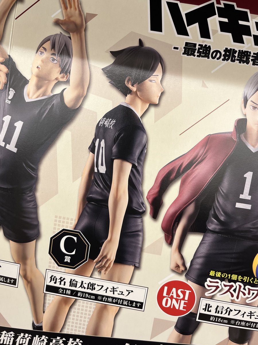 ぴょんぴょこぴょん tweet media