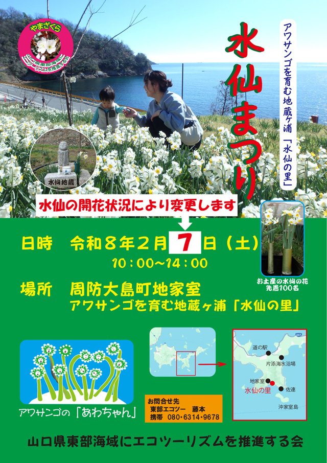 地家室で水仙まつり blog.livedoor.jp/oidemise/archi…