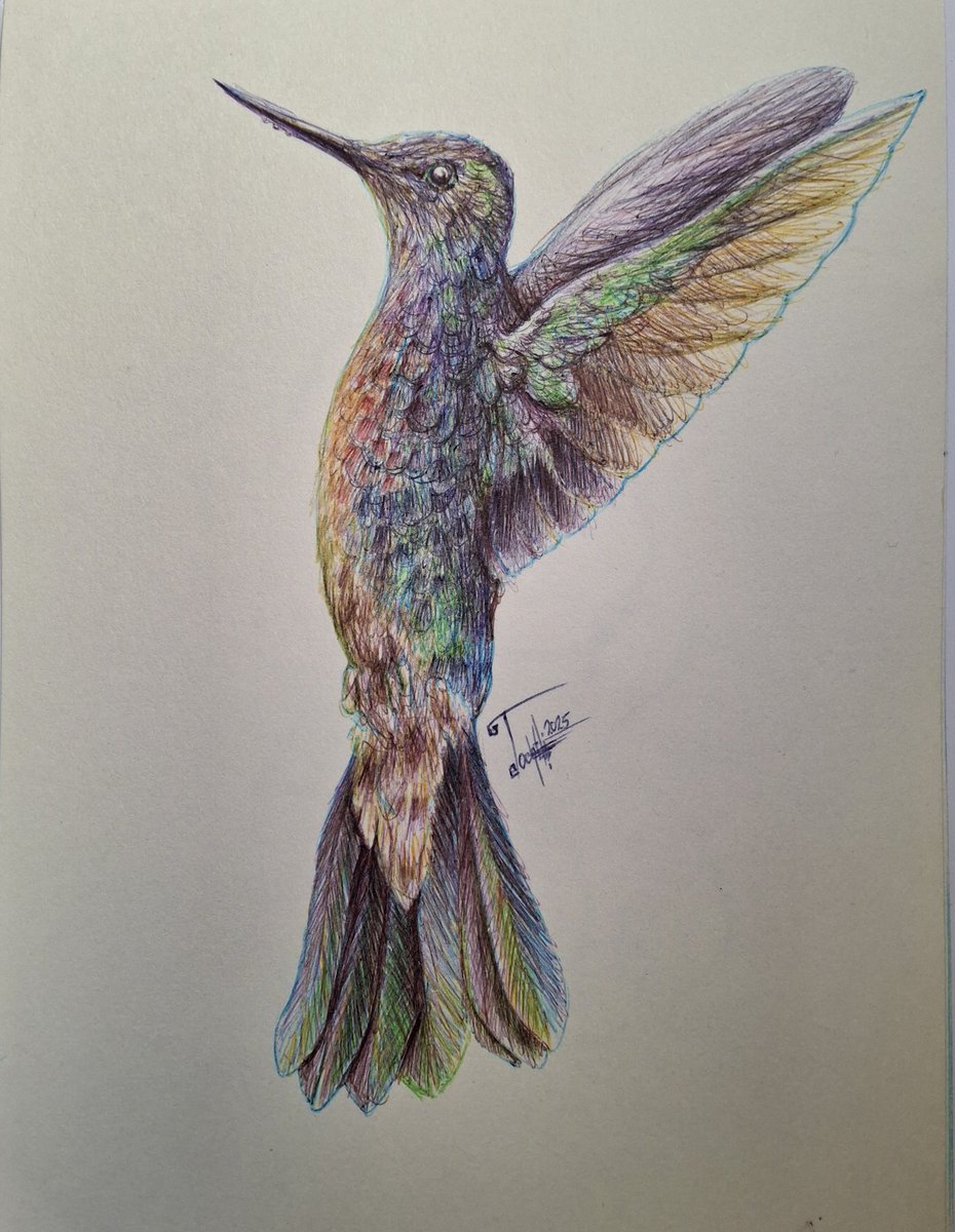 Huitzilin 
Dibujo a bolígrafo
2025
#tochtlimartinezarte
#dibujoalapiz #dibujoacolor 
#artefigurativo #colibrí #Huitzilin