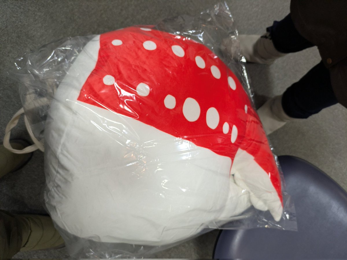 yukarin5__'s tweet image. どうしよう…
特等当たっちゃったんだけどｗｗ
飛行機乗らんよなコレ