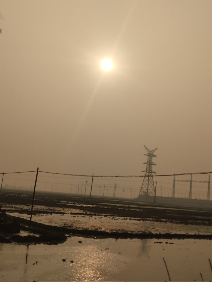 shujon1999's tweet image. GM Everyone 
#follower