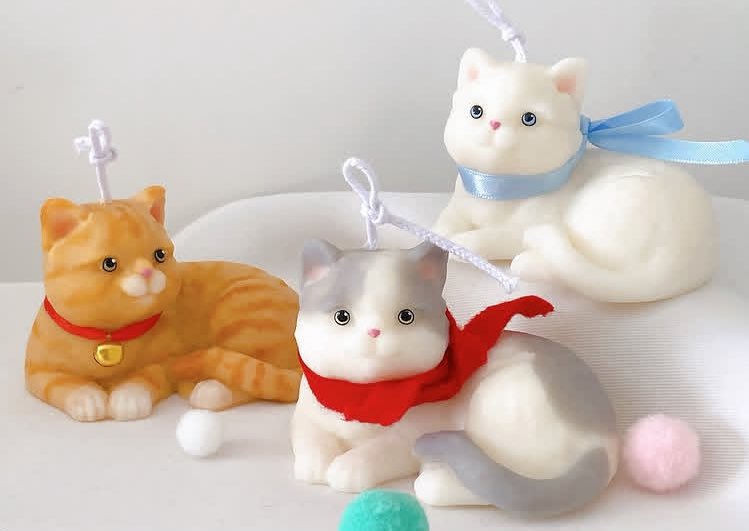 🐱 GOOD CAT 😻 NEW! ใครชอบน้องแมวแนวหุ่นอวบใจละลายแน่เลย