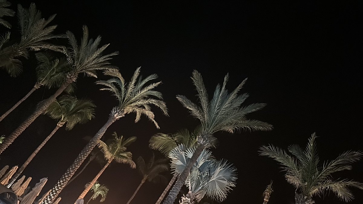 (((tapedave))) tweet media