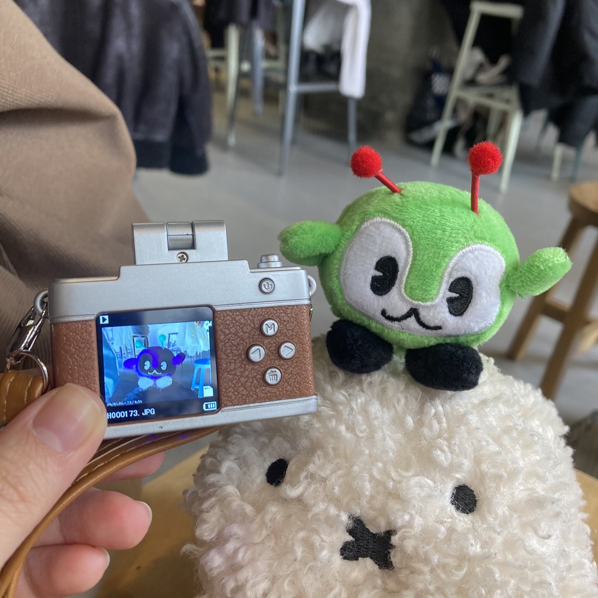 よほた@ナナフェスD-01 tweet media