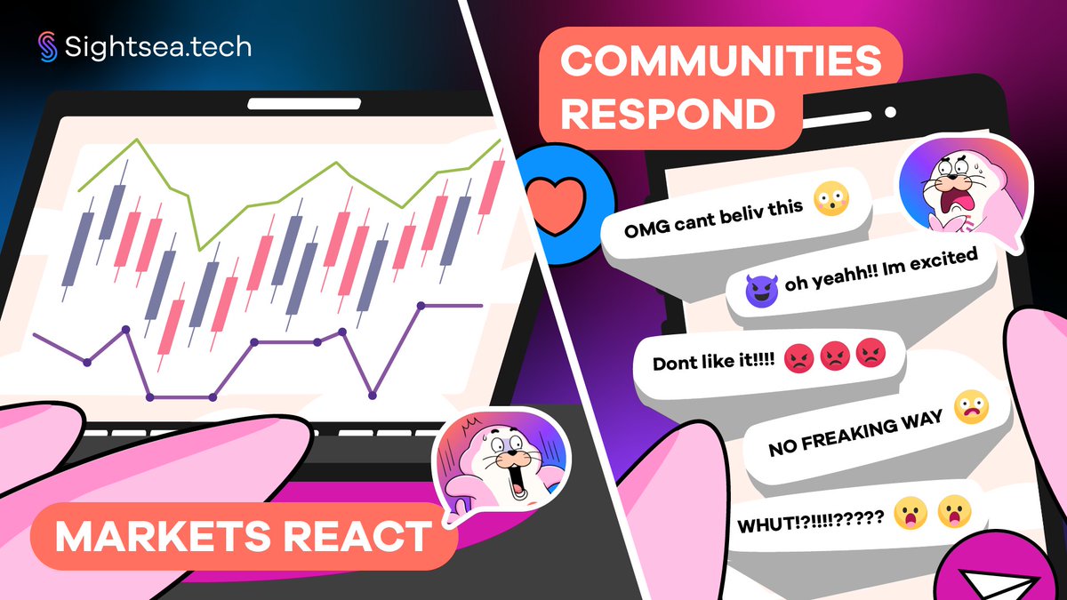 Sightsea.Tech tweet media