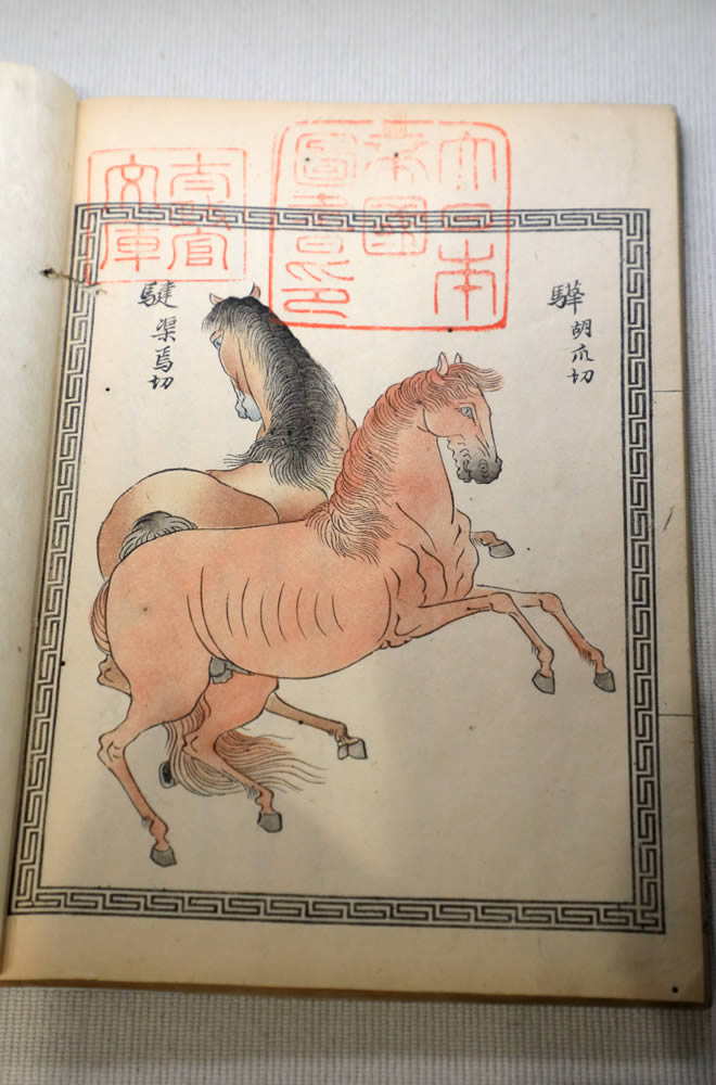 馬についてもう一つ 『驪黄物色図説』の赤毛馬の絵 解説ボードには