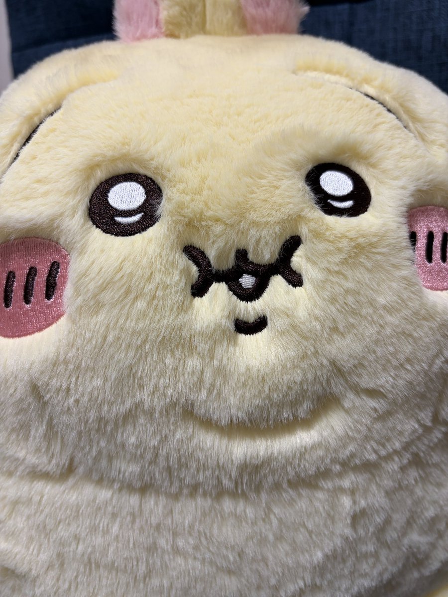 t0ri418's tweet photo. うちの
ぼっちゃりちゃんです(ᐢᴖ ·̫ ᴖᐢ) https://t.co/nMe7HtF8GS