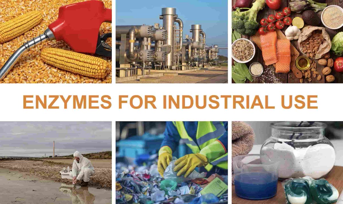 Unlock enzyme power across industries &amp; science! Creative Enzymes offers high-quality enzymes for industrial use (food, biofuels, waste management, etc.) and research &amp; diagnostics (virus testing, antibody assays, oncology). #Enzymes #Biotech #Diagnostics creative-enzymes.com/cate/applicati…