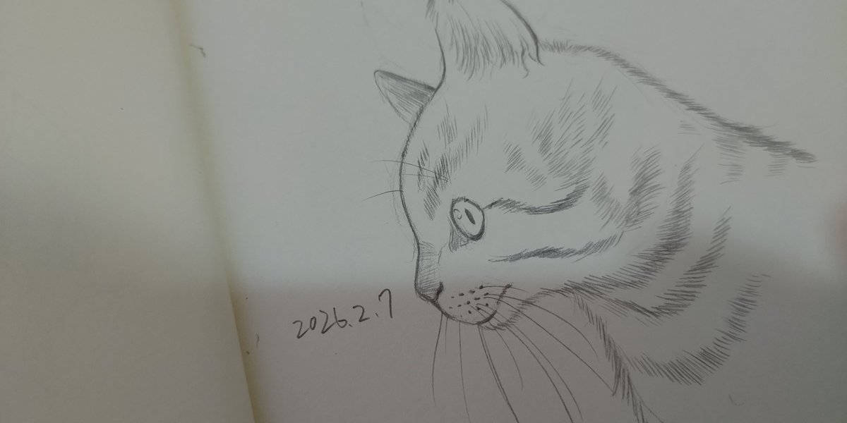 猫練習🐱🐈️ 