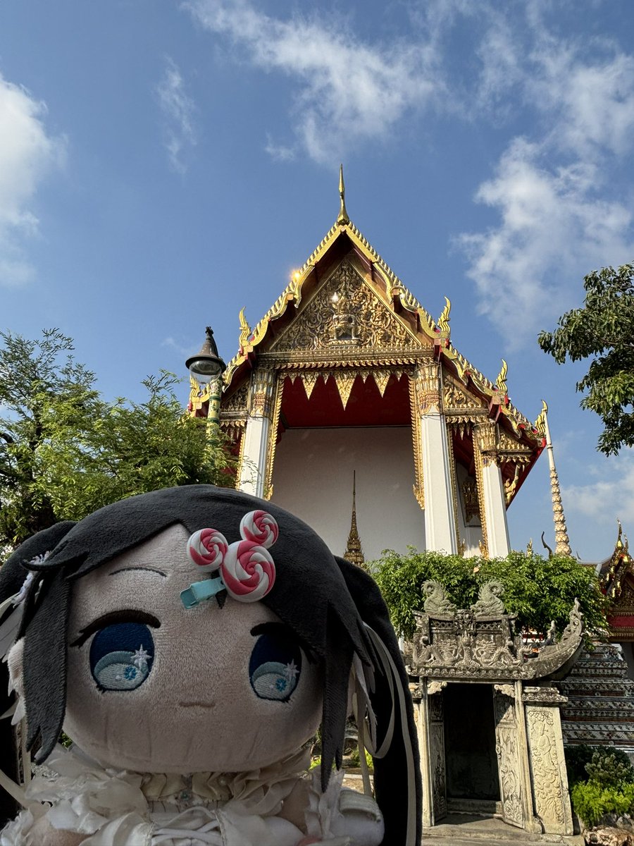 brolliologist's tweet image. もち峰は今どこにいるでしょ〜か！

\ﾋﾟｰﾀｰﾝ/