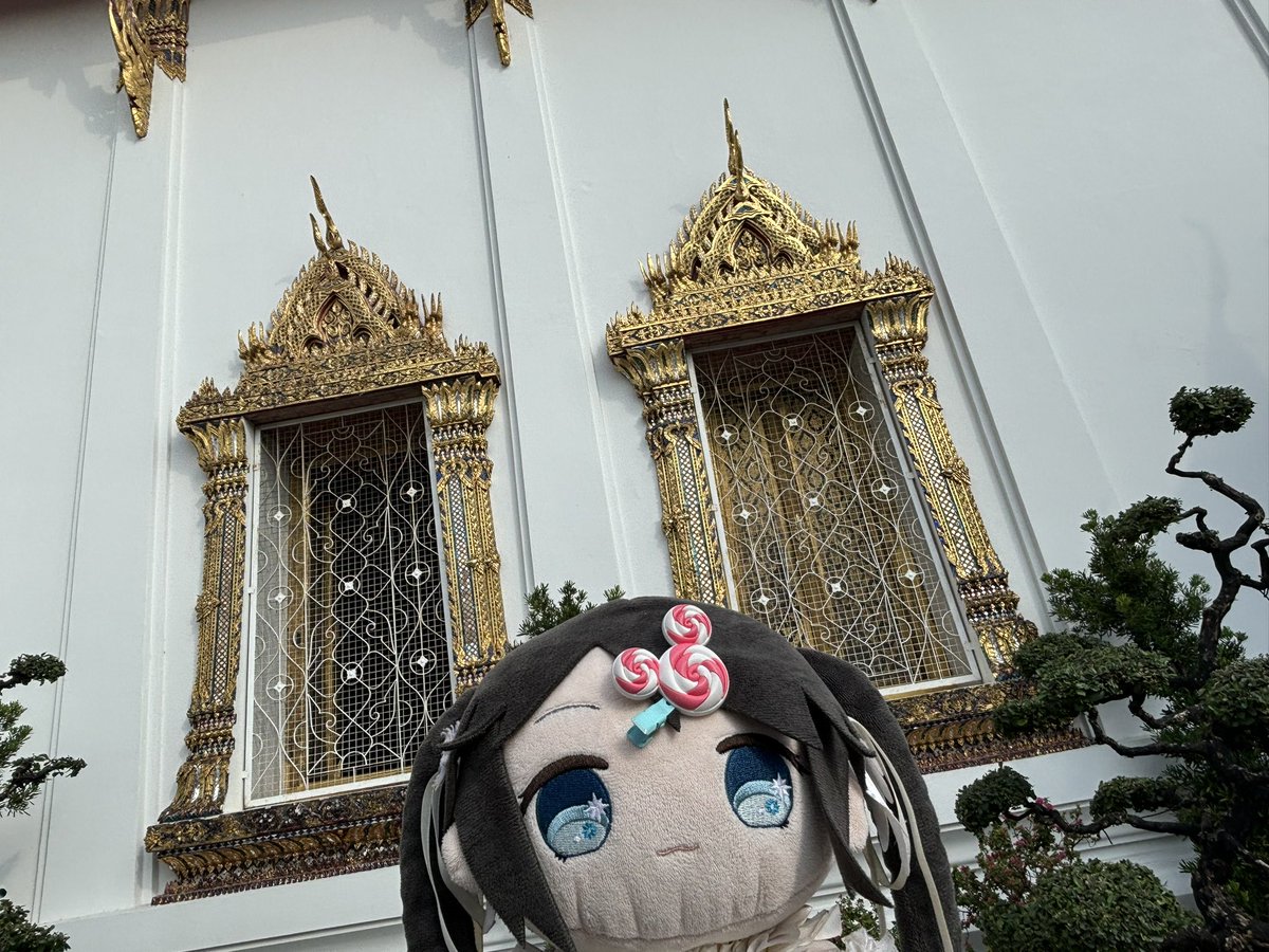 brolliologist's tweet image. もち峰は今どこにいるでしょ〜か！

\ﾋﾟｰﾀｰﾝ/