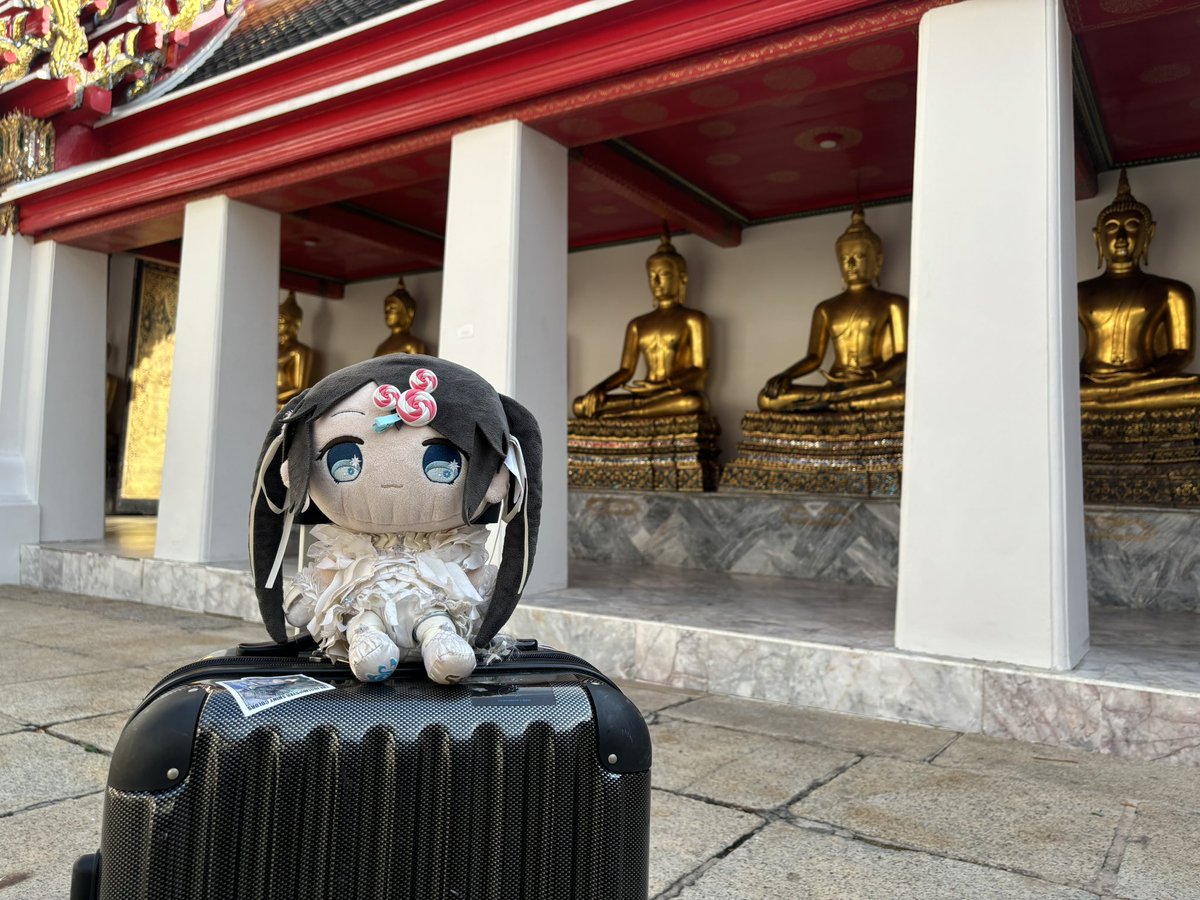 brolliologist's tweet image. もち峰は今どこにいるでしょ〜か！

\ﾋﾟｰﾀｰﾝ/