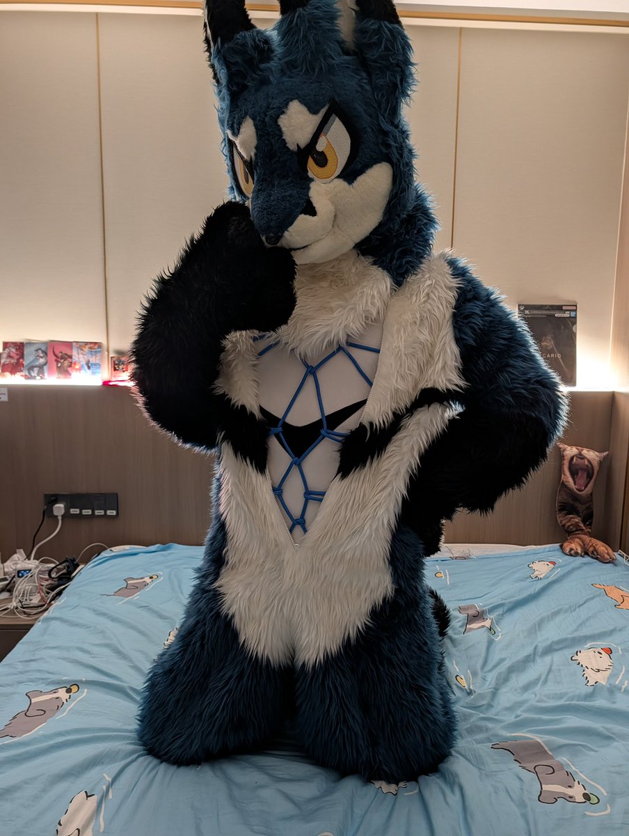 裏面好像有什麼東西？？
要來看嗎🤭

👀👀

なんか変な感じ❓

#FursuitEveryday 
#Bandage