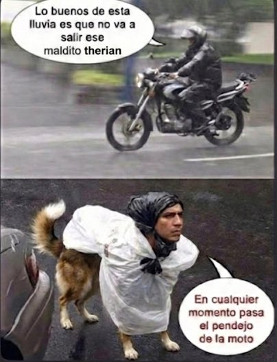 esckla's tweet image. 