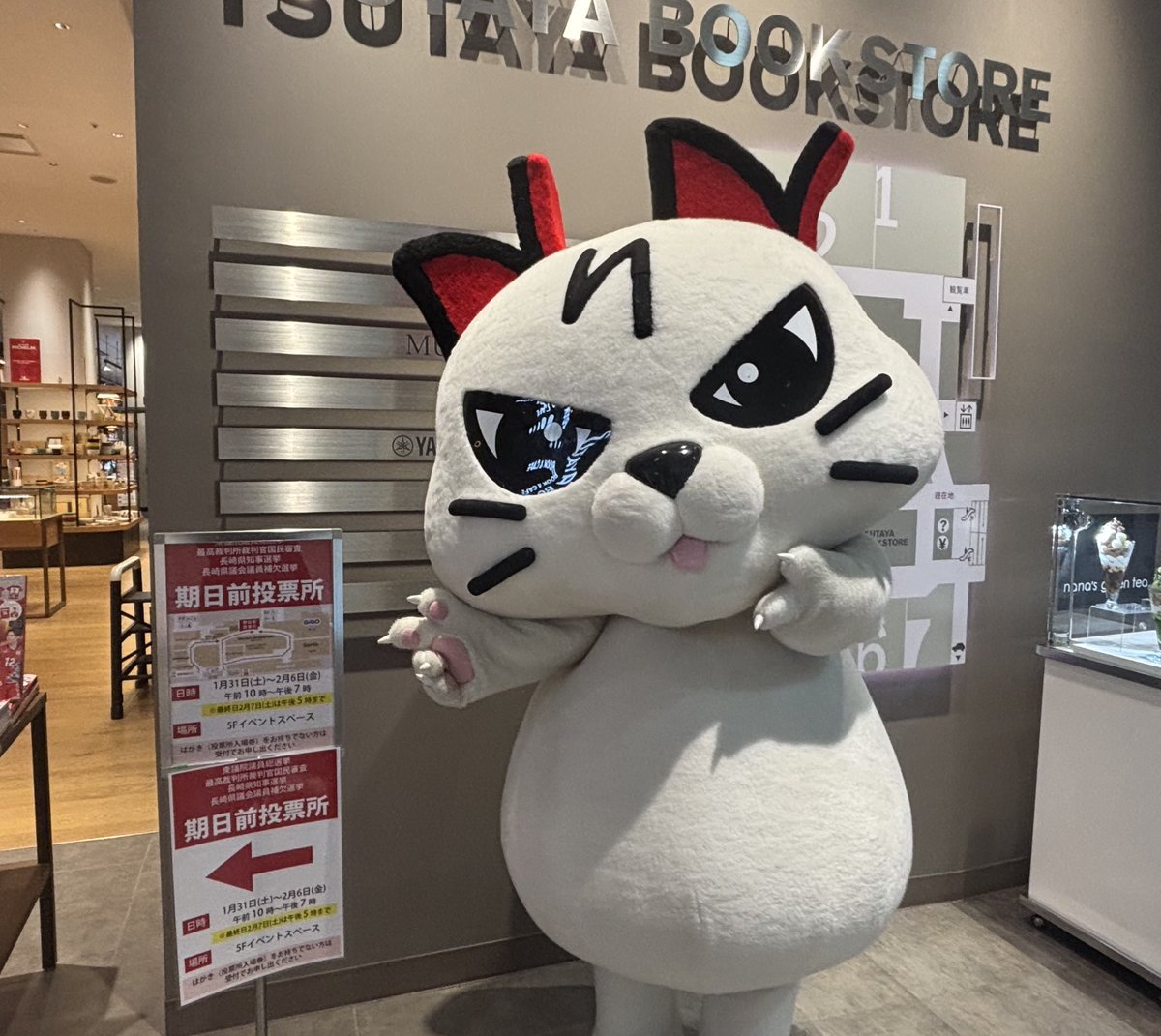 Going_Ntasu's tweet photo. 本日は、期日前投票にココウォークに来ましたん😽🗳️‼️

はい。まだぼくたんには選挙権ないので、エアー投票🗳️ですが😼

ココウォークは本日17時まで‼️みなたんも忘れずに投票しましょうったん♡

#いつもありがとう
#えぬたん期日前投票へ行くの巻 https://t.co/3zAucBV5ch