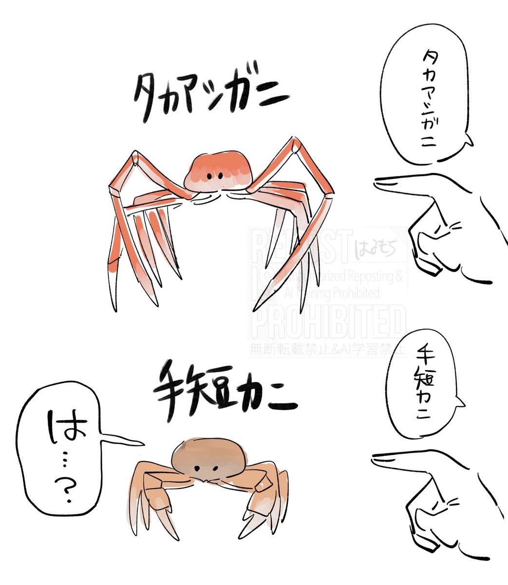 手短かに 好きすぎ 