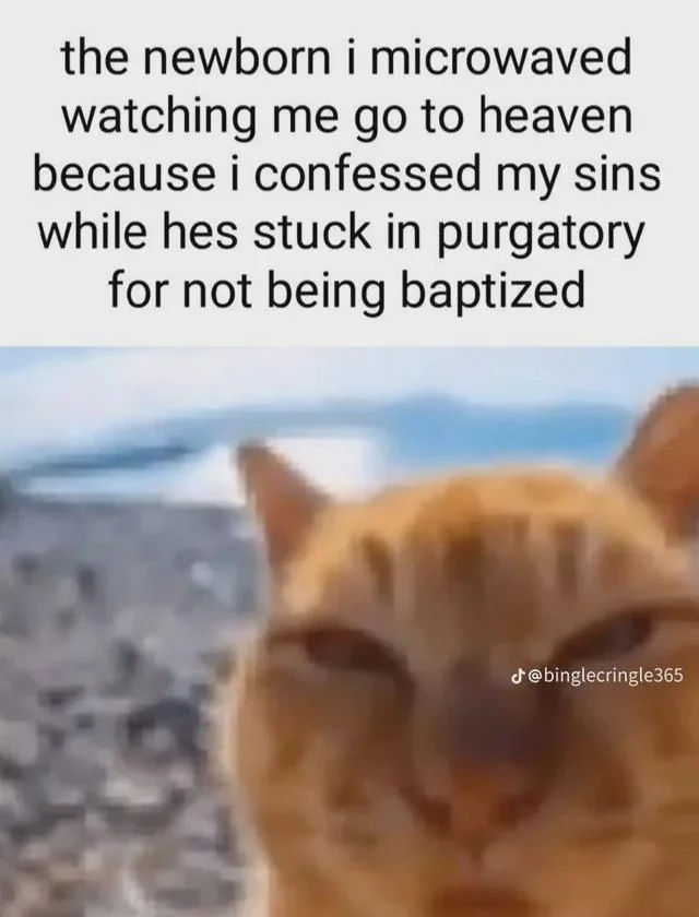 ShitpostGateway (@shitpostgate) on Twitter photo 