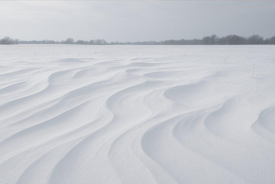 WagnerDutra13's tweet photo. This snow drift with wind carved waves stopped me during field walk yesterday. Smooth white surface shaped by invisible hands overnight like frozen ocean. Nature sculpts without tools or plans @DataHaven_xyz https://t.co/MLtiD6CnJj