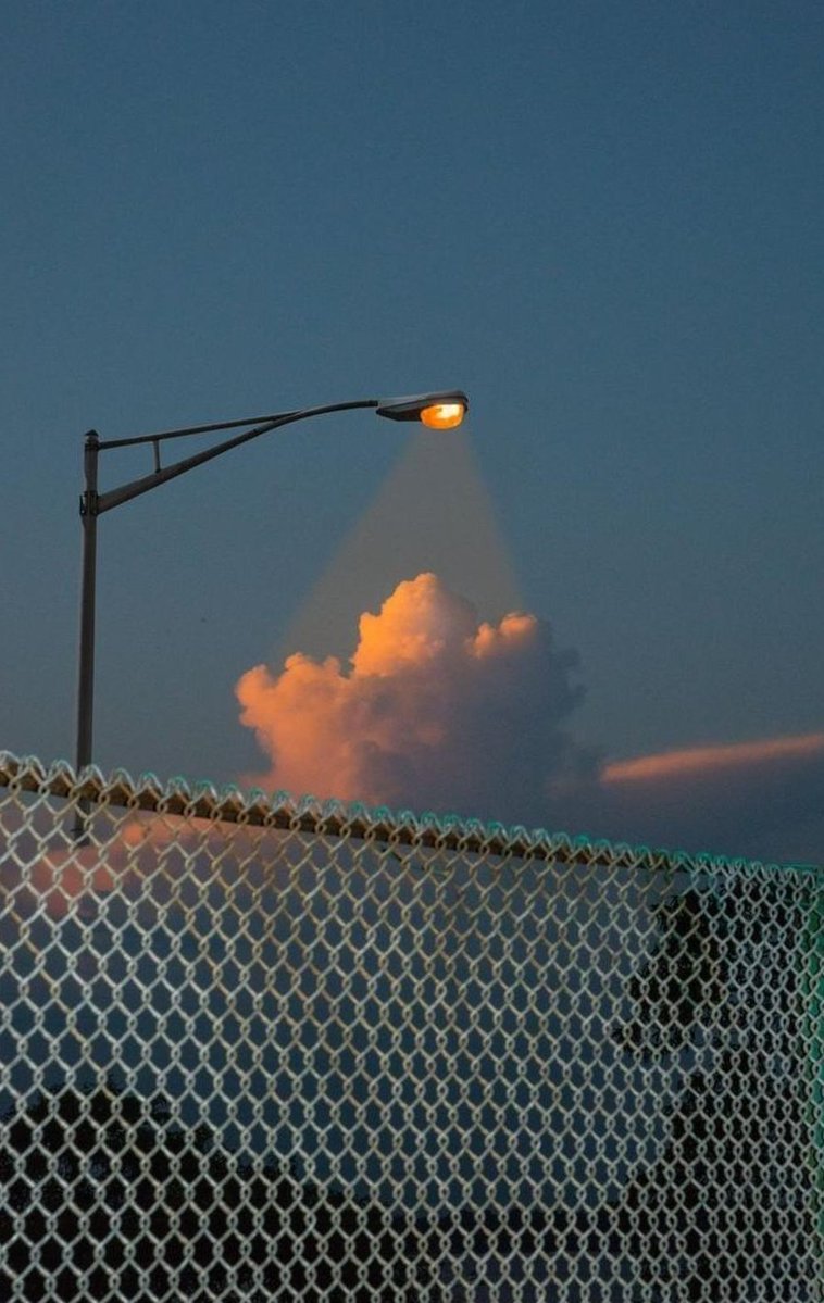 joyrochie's tweet image. 休日瞑想を上達する 🦏