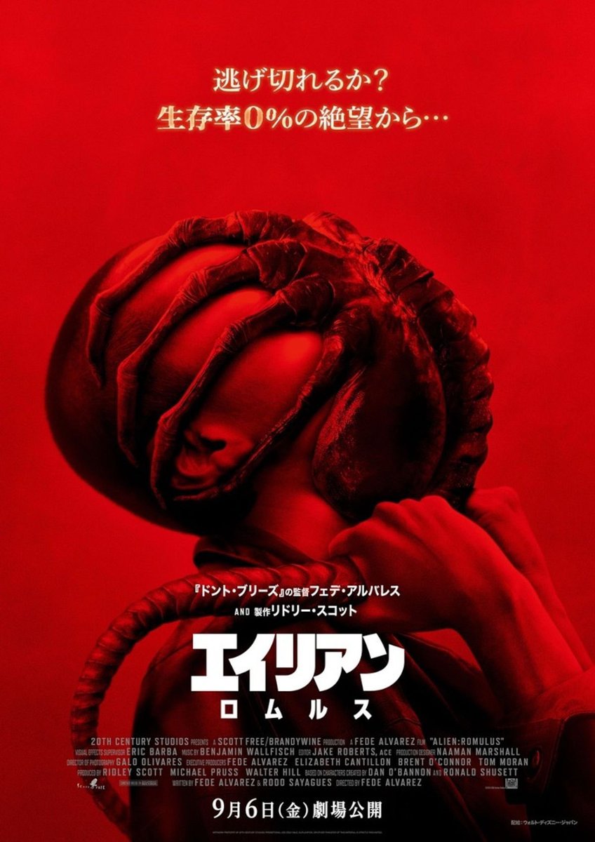 (ゆい)Piccalilli tweet media