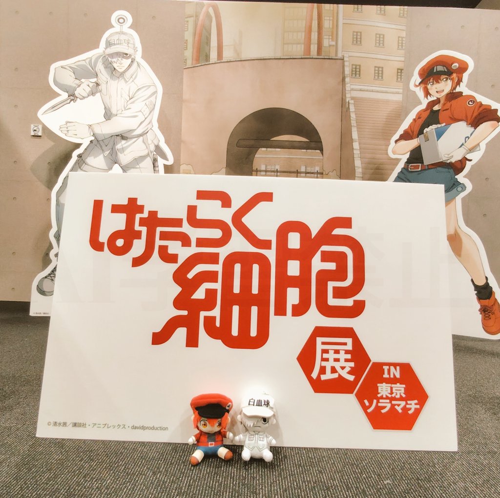 ToboeSenyo's tweet photo. アニメ１期２期の軌跡と、
体験型の展示の数々🩺✨
心音聴けるの貴重だと思ったし
ゲームは当たり判定厳しかったww
楽しかったです!!
ﾟ+.ヽ(≧▽≦)ﾉ.+ﾟ
#はたらく細胞 
#はたらく細胞展 https://t.co/2K5odHCSfE