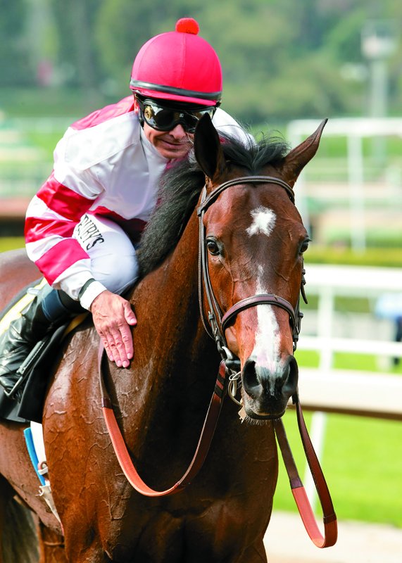 BloodHorse tweet media