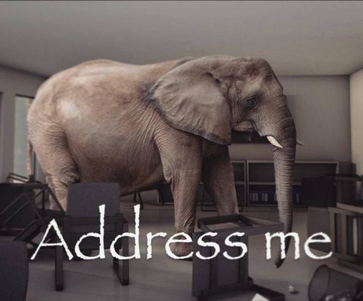 LooseLeaf. tweet media