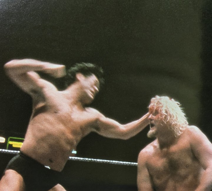 다른 건 그냥 넘어가는 데, 이렇게 악질적이고 유치한 인상조작 하는 사람은 반박을 해야겠다.

당신은 이 사람이 여자로 보입니까? 당신은 남을 마구 중상하는 사람이군요. 진짜 추악하기 짝이 없네요.

프로레슬러 안토니오 이노키가 경기 중에 '너클 애로'라는 기술을 쓰는 장면입니다.