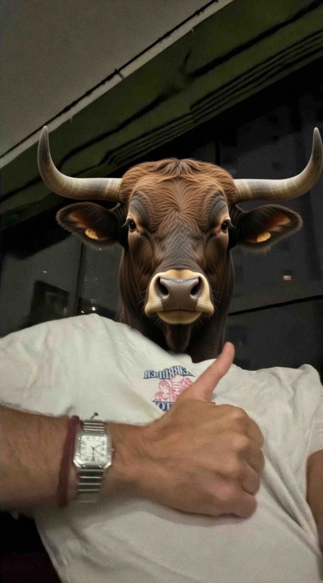 adrificialjohn's tweet photo. GM Friends.
Noch 10 Tage muss ich euch sagen… ICH BIN BULLISH. 🔥🔥🔥🔥
(Auch wenn laut #HOSS am Sonntag die Welt untergeht 🌎 - schade eigentlich. Aber wenns wieder nur Bulls**t ist, stand der Mond halt schon wieder schlecht - lets see)
Wenn wir Montag noch leben verlose ich etwas für alle die an unser weiterbestehen geglaubt haben.