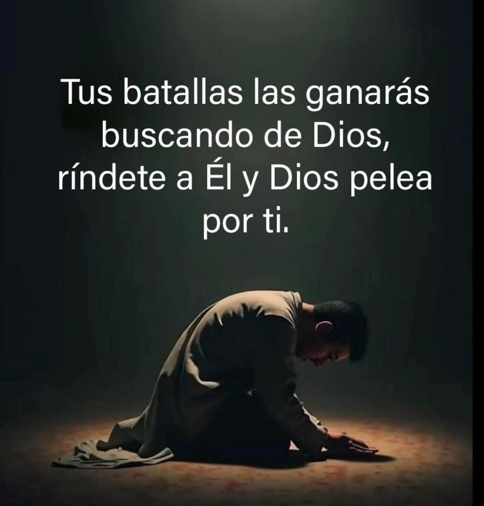 Maco_Rodas's tweet photo. #BuenasNoches https://t.co/T0A6aeNmqA