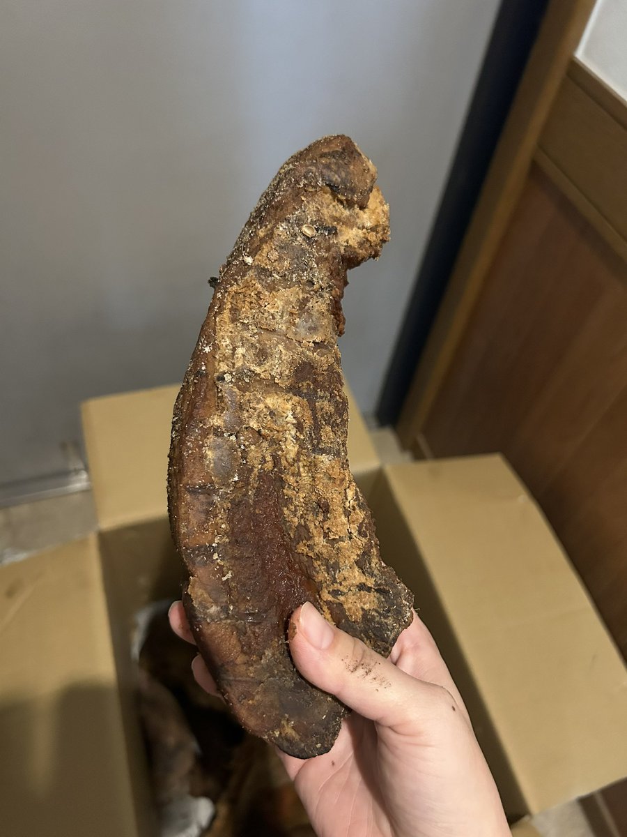 りてんてん（山花詩田） tweet media