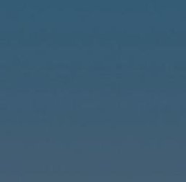 ericklevy's tweet image. 木で取る 👩‍👦‍👦