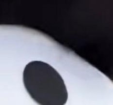 Timaberg's tweet image. パソコンが単純 👩‍💻