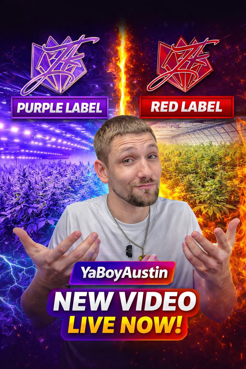 JohnAustinAllen's tweet photo. GREENHOUSE vs INDOOR 🌱💥
Everybody says indoor is always better…
but is it REALLY? 👀

I just dropped a full comparison breaking down:
🟥 JK Distro Red Label (Greenhouse / Light Deps)
🟪 JK Distro Purple Label (Indoor Small Batch)

Review link here! 
https://t.co/4luxgG5nxr https://t.co/r7DYayWPmy