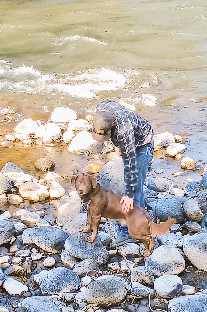 Cali_Sass_'s tweet photo. @Bruadarach_labs My boys being boys. https://t.co/OdoBMk4dvO