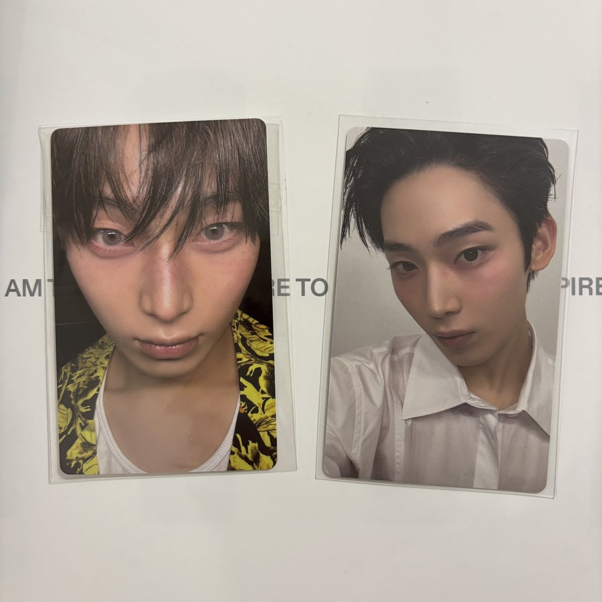 _pagne3's tweet photo. showcaselive🦊🐉🪢

かわいすぎる（ ;  ; ）
ありがとうございます！☺️
#ゆかぽproof https://t.co/3PKjaNGkJy
