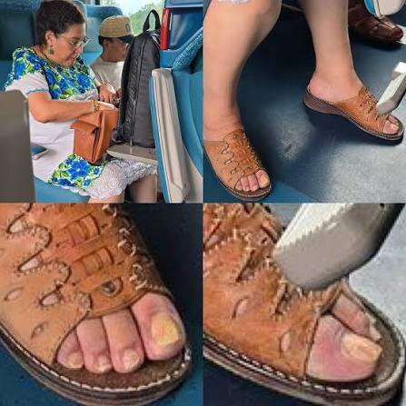 ¿A ver qué caballero se anima a limpiarle las patas a la ministra? 🤔