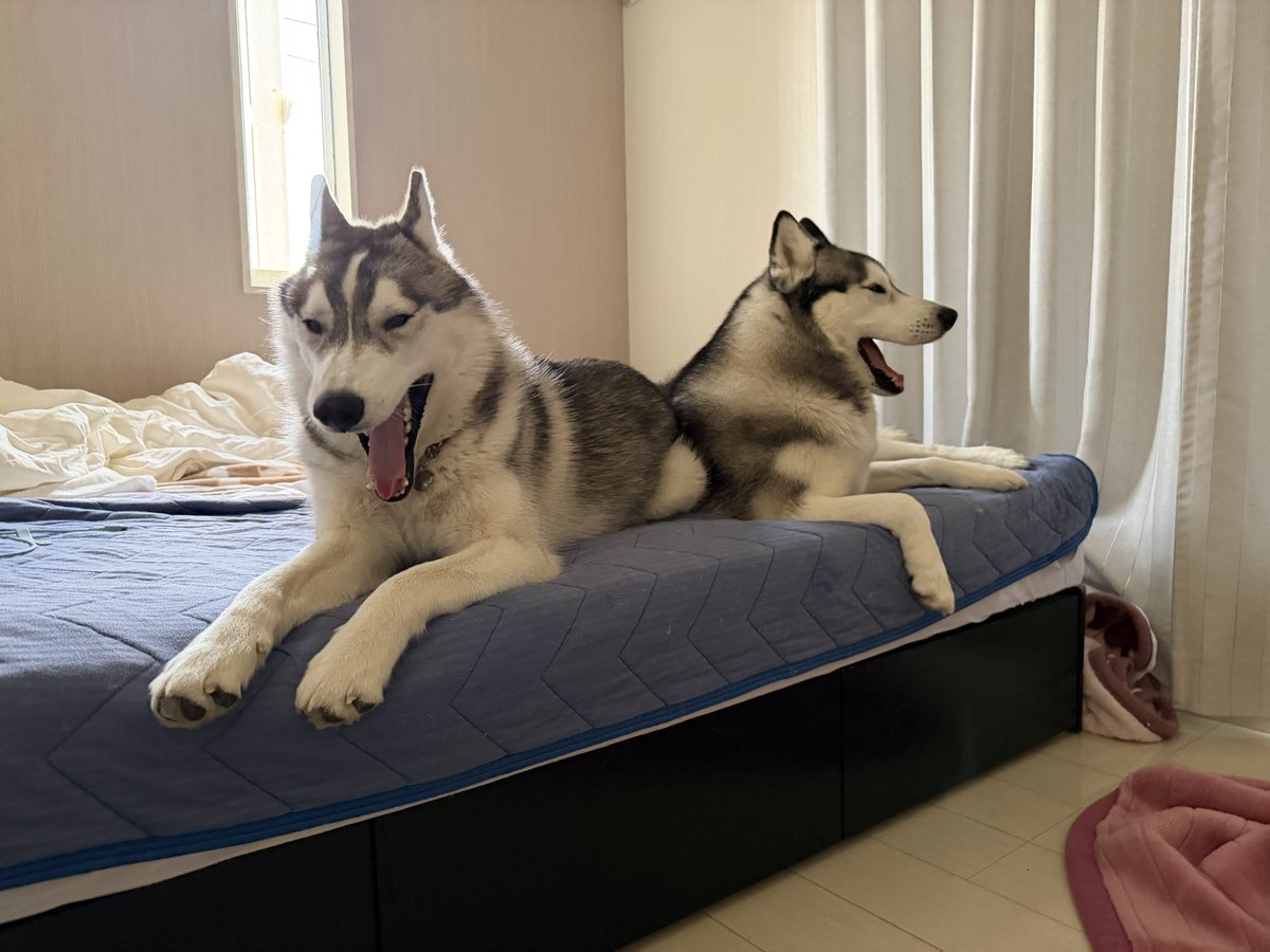 ジーニー☆さま専用ページ グッドジファール🌞 選べなくても選ぶのが大人。 選挙に行くんだよー