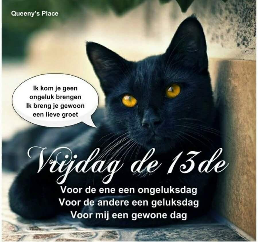 Staf De Beyn tweet media