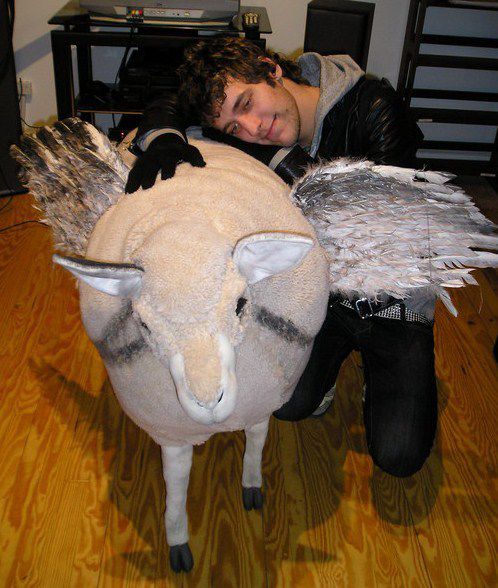 Kaz Begins |-/ 🎱 #1 BEARTRICK LOVER tweet media