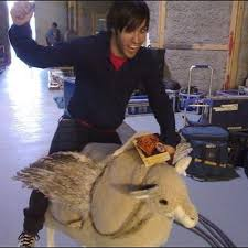 Kaz Begins |-/ 🎱 #1 BEARTRICK LOVER tweet media