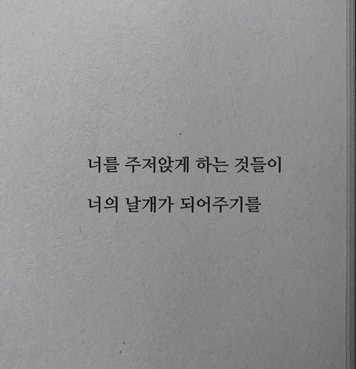나를 멈추게 했던 것들로
날아오르는 법을 배울 수 있기를