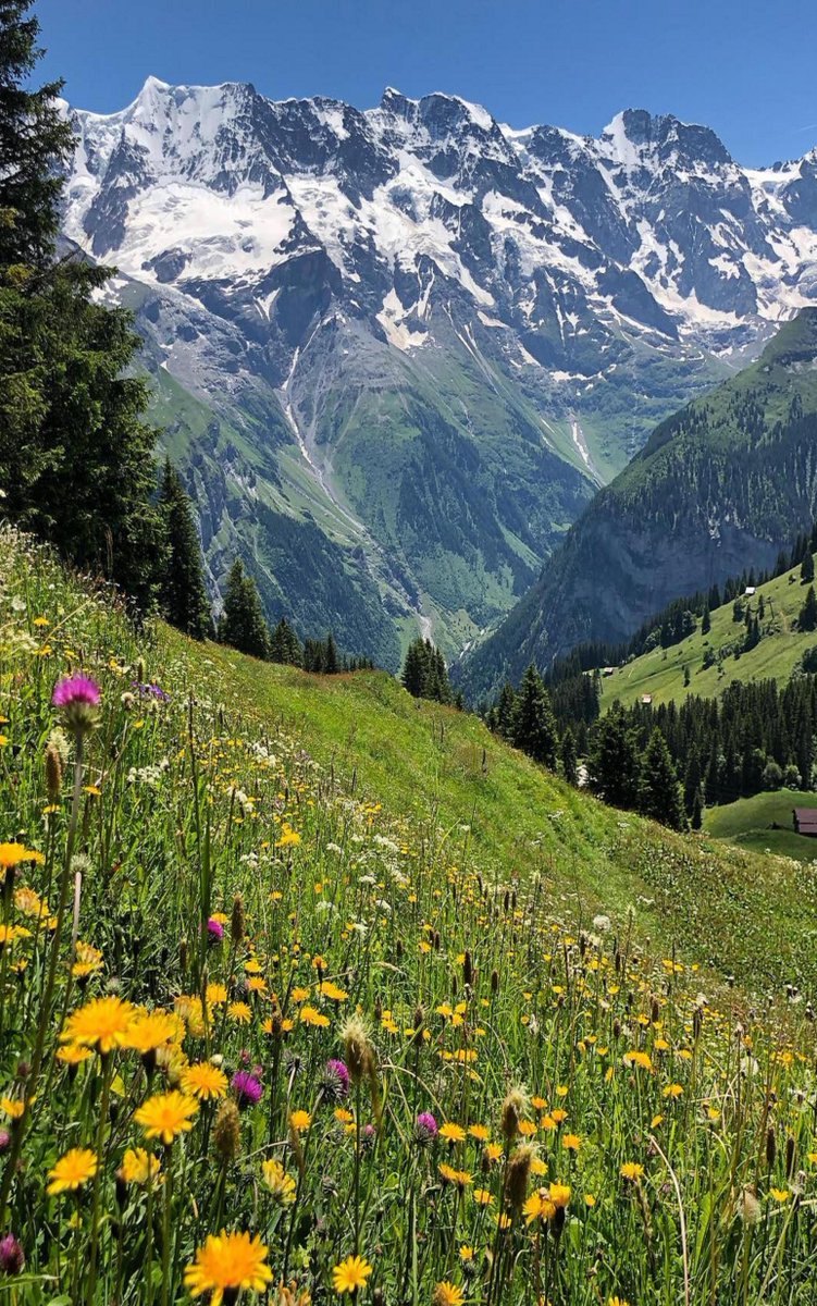 hellboy27593's tweet image. 空で知る 🐌