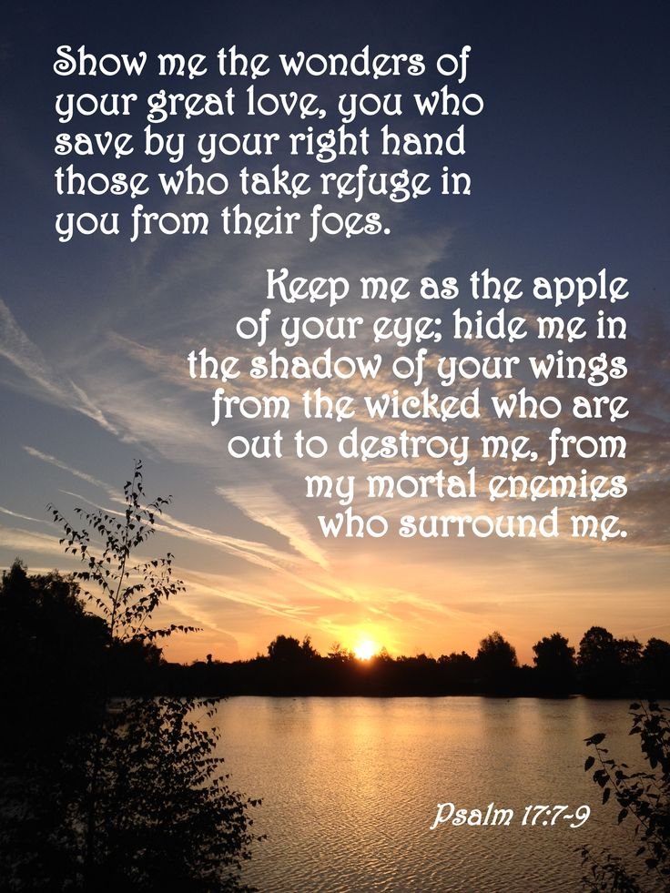 road_salvation's tweet image. 📷Rest With the Word — Bedtime Reflections
“Show thy marvellous lovingkindness…” — Psalm 17:7 God’s love is active even at night. 

#RestWithTheWord