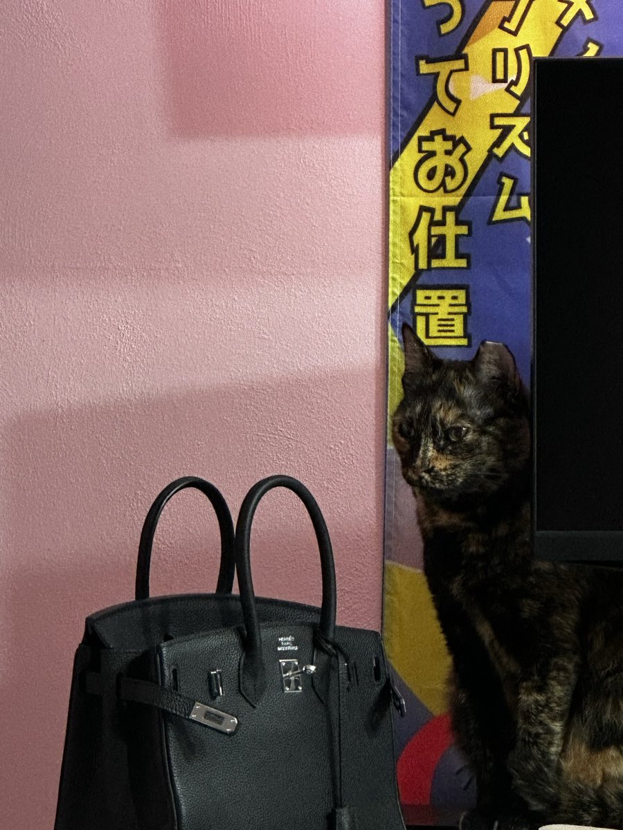 why she look like she tryna steal it 🫆