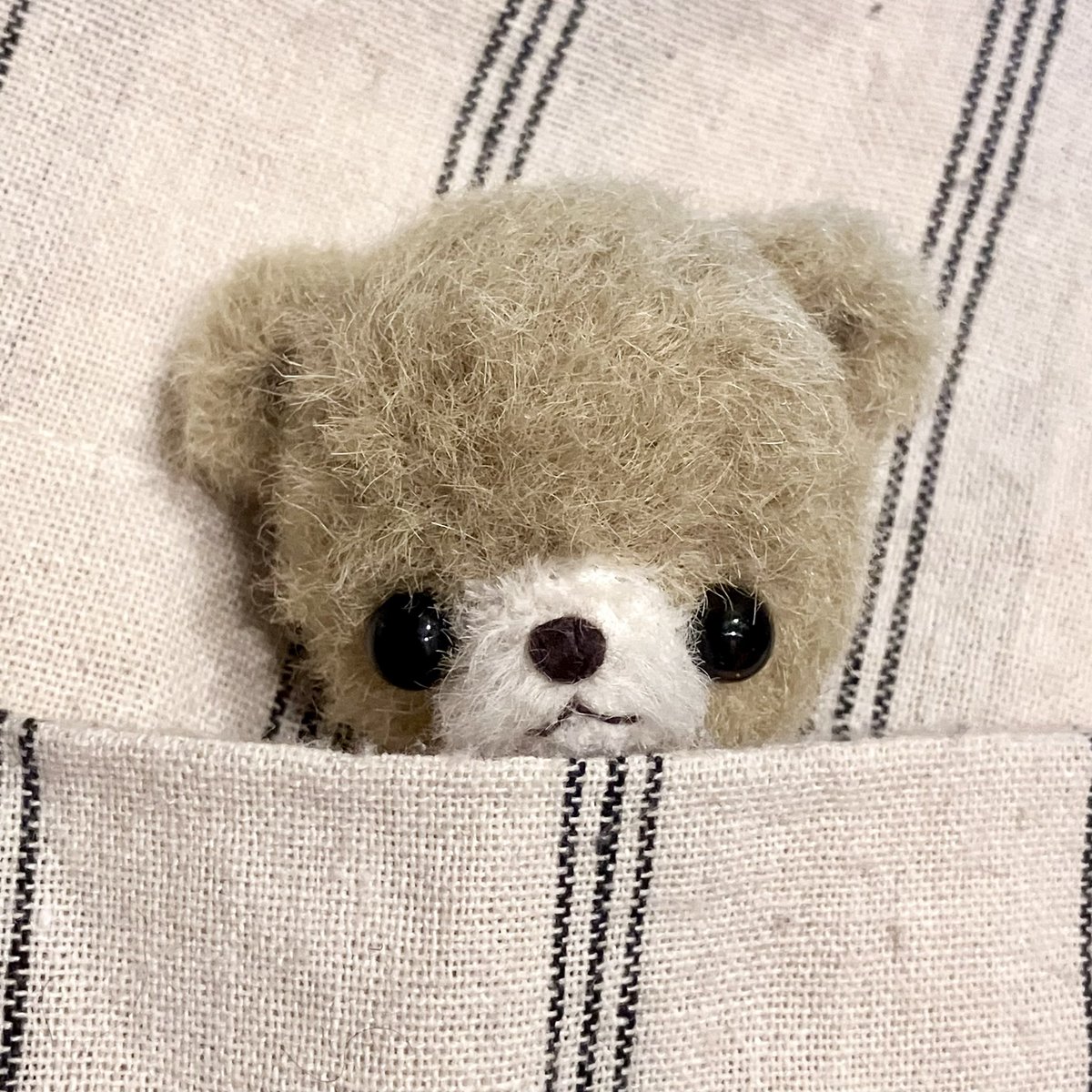 くまくろ。5/2モノヴィレ (@kumakuro_bear) / Posts / X