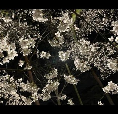 Sahmkhing's tweet image. 温度を行く 😆