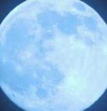 NovusMusic's tweet image. キャンプを午後楽しむ 🐽