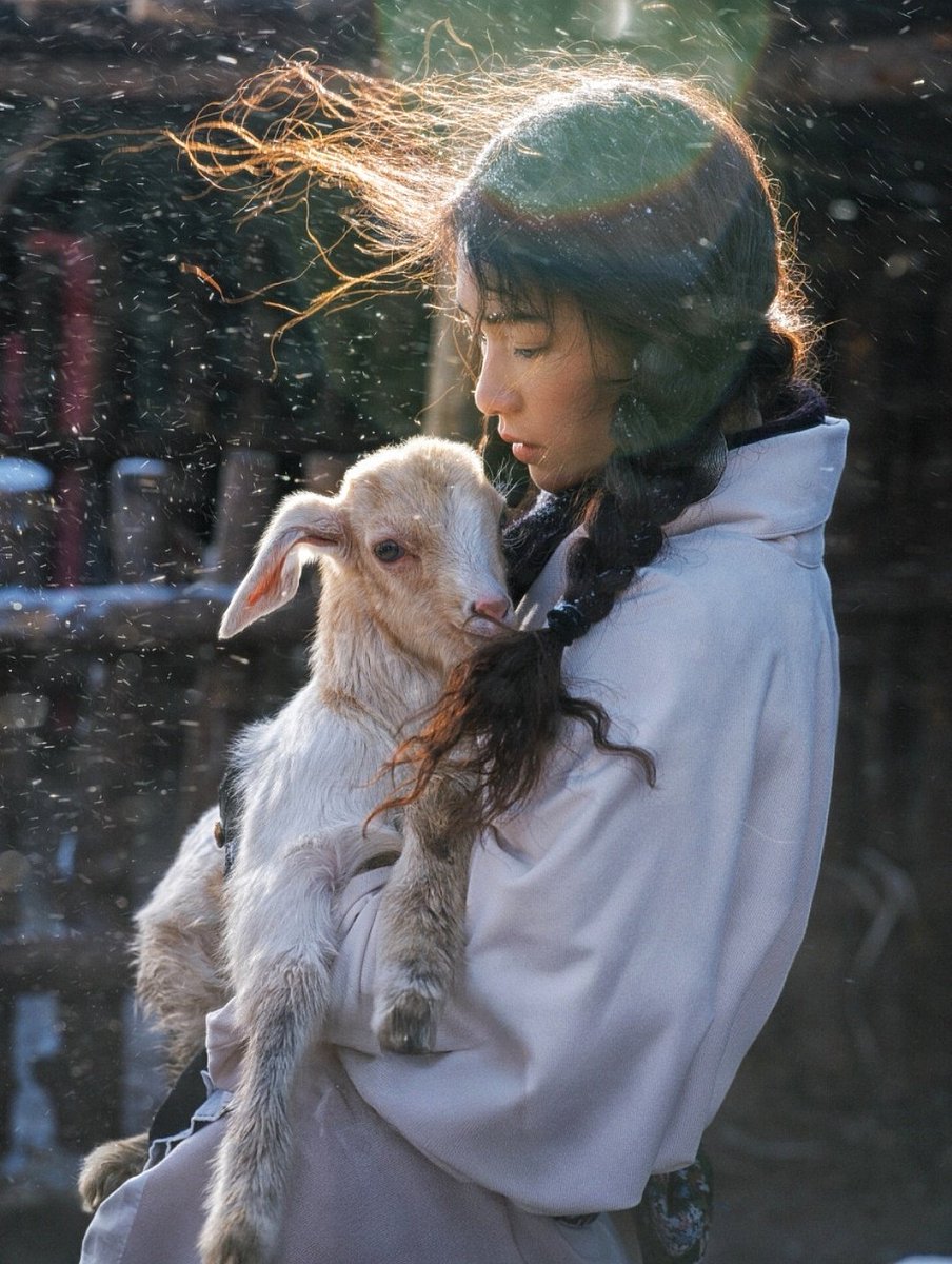 linhai894396924's tweet image. 雪花落在辫梢，她却抱紧了全世界最软的温暖丨这一刻，雪是背景，她和小羊才是彼此的家。